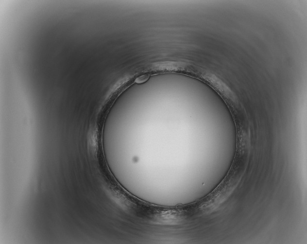 X0000116820064200912241249