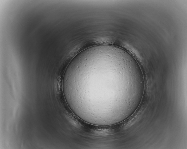 X0000116820065200912241249