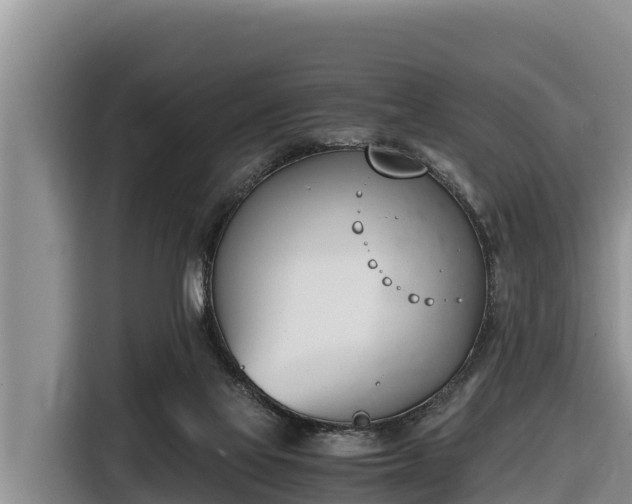 X0000116820069200912241249