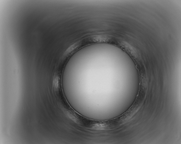 X0000116820071200912241249