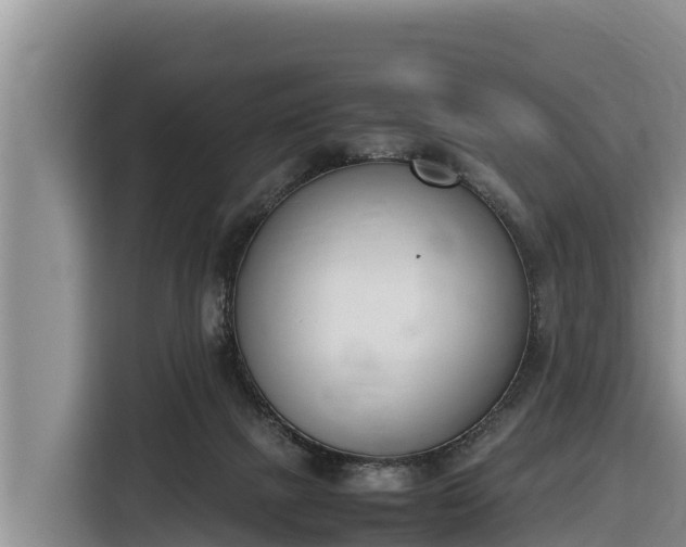 X0000116820073200912241249