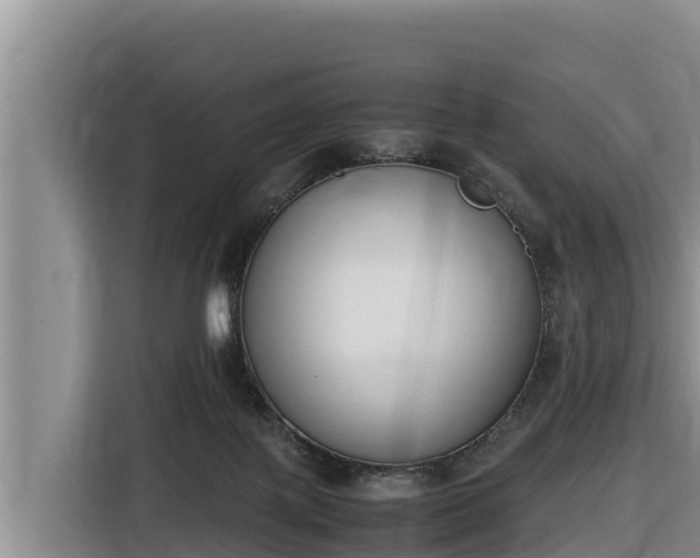 X0000116820075200912241249