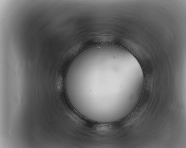 X0000116820077200912241249