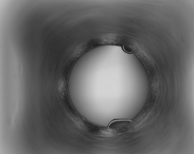 X0000116820079200912241249