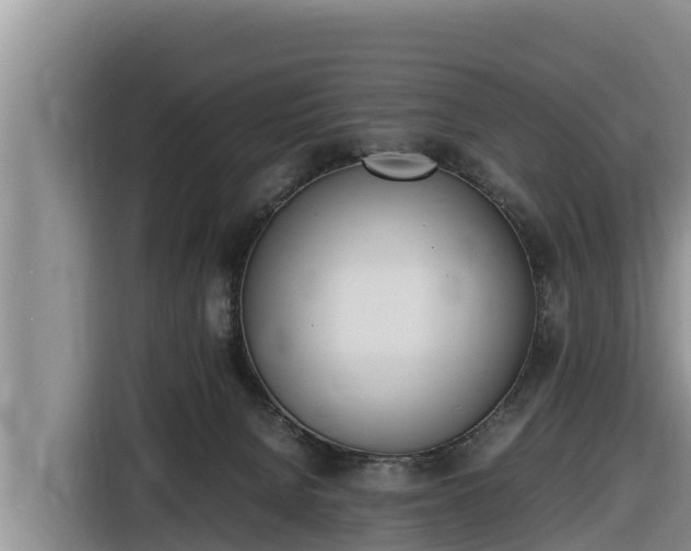 X0000116820080200912241249