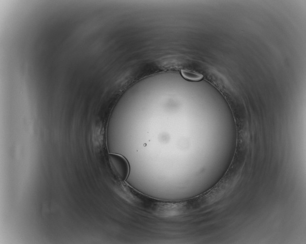 X0000116820081200912241249