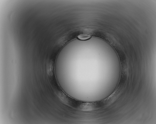 X0000116820082200912241249