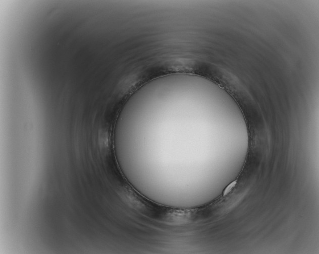 X0000116820084200912241249