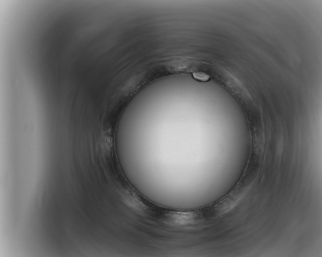 X0000116820085200912241249