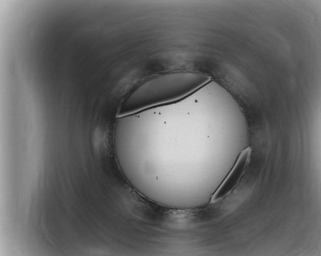 X0000116820088200912241249