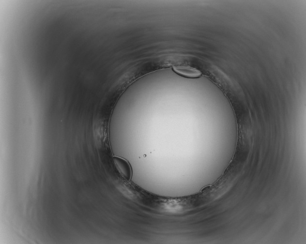 X0000116820091200912241249