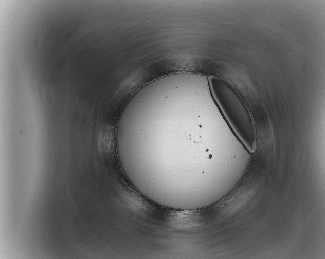 X0000116820092200912241249