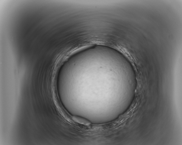 X0000116820097200912241249