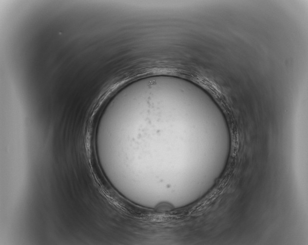 X0000116820098200912241249