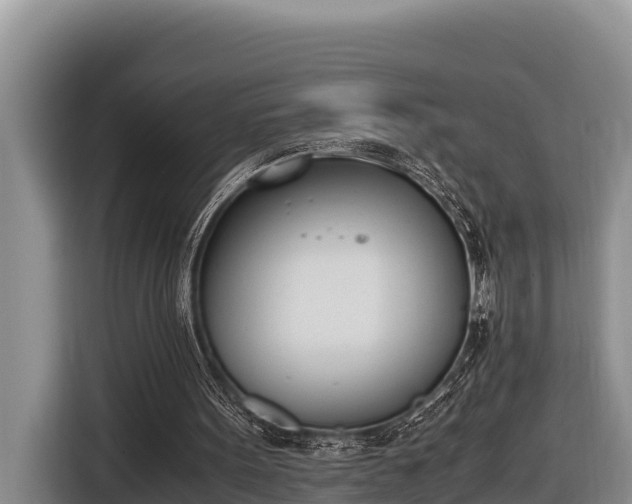 X0000116820099200912241249