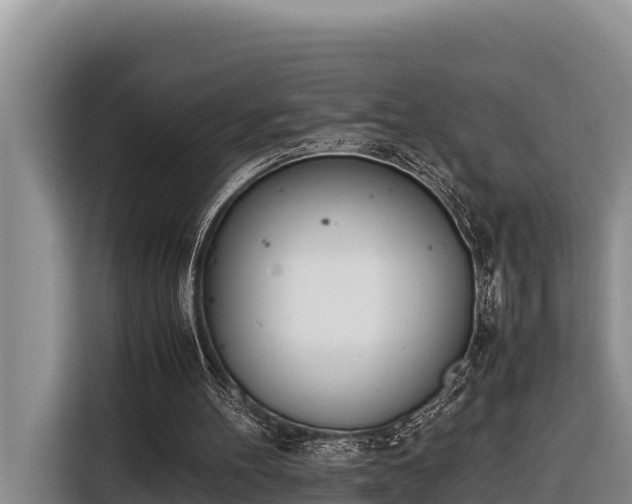 X0000116820100200912241249