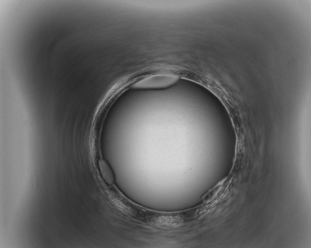 X0000116820101200912241249