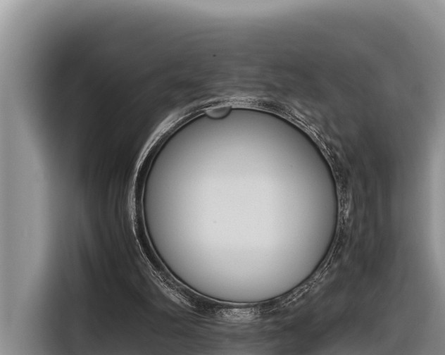 X0000116820102200912241248