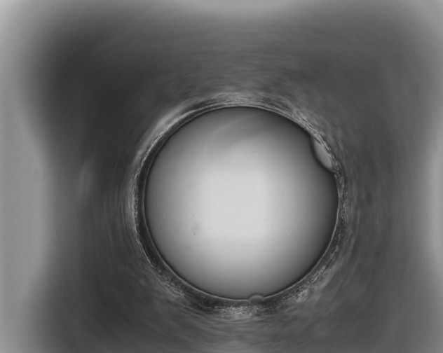 X0000116820103200912241248