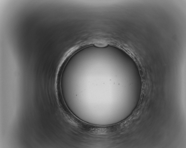 X0000116820104200912241248