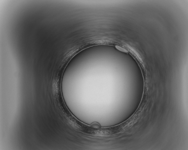 X0000116820105200912241248