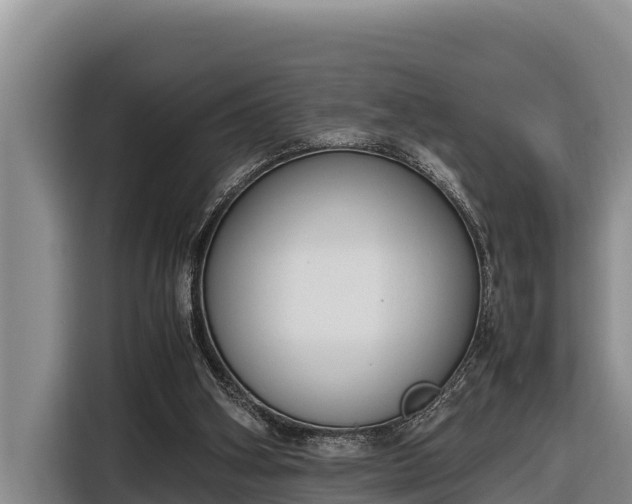 X0000116820106200912241248