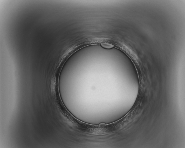 X0000116820107200912241248