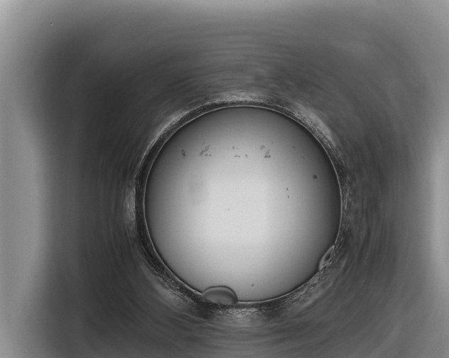 X0000116820108200912241248