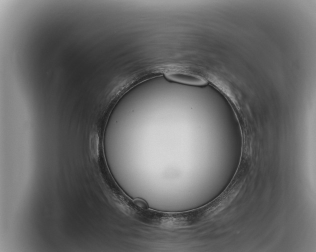 X0000116820109200912241248