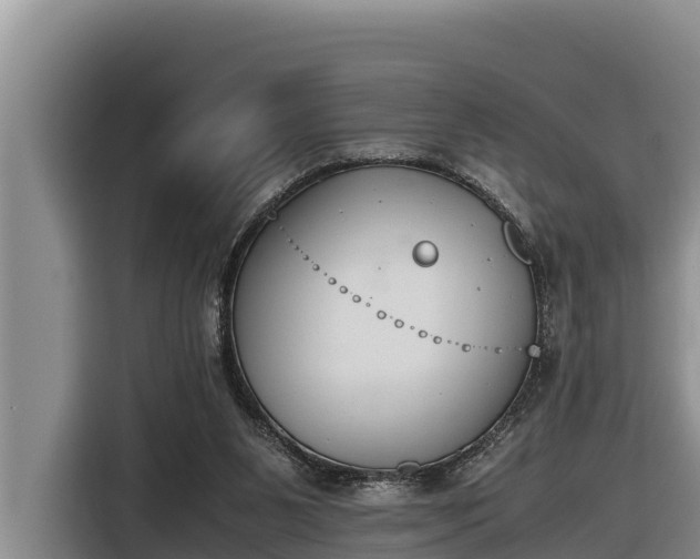 X0000116820111200912241248