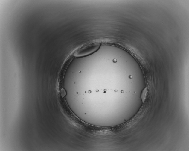 X0000116820112200912241248