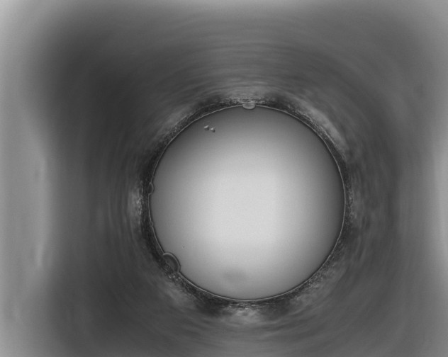 X0000116820113200912241248