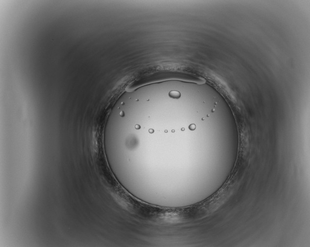 X0000116820114200912241248