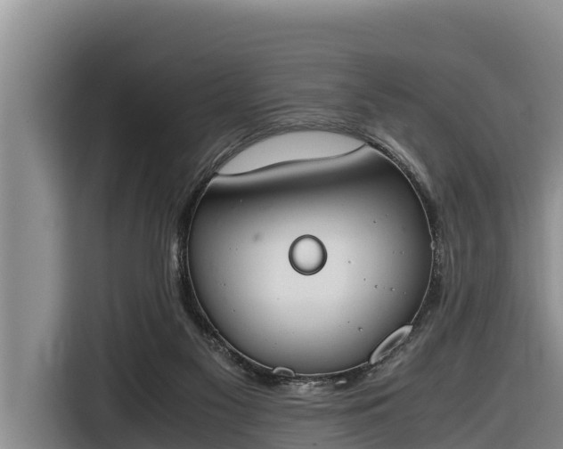 X0000116820117200912241248