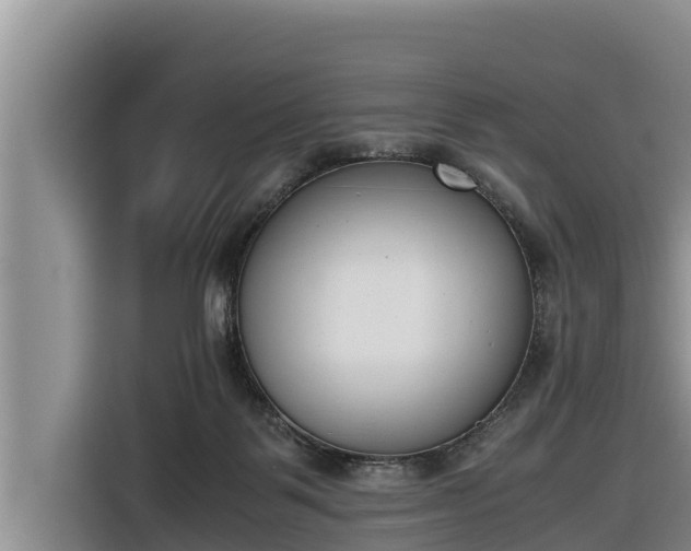 X0000116820123200912241248