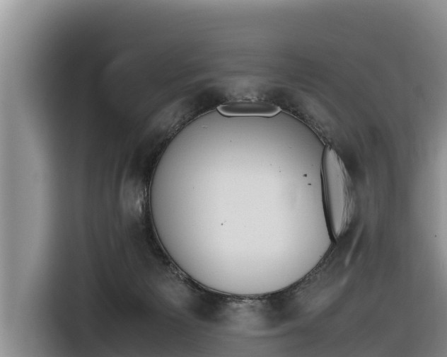 X0000116820125200912241248