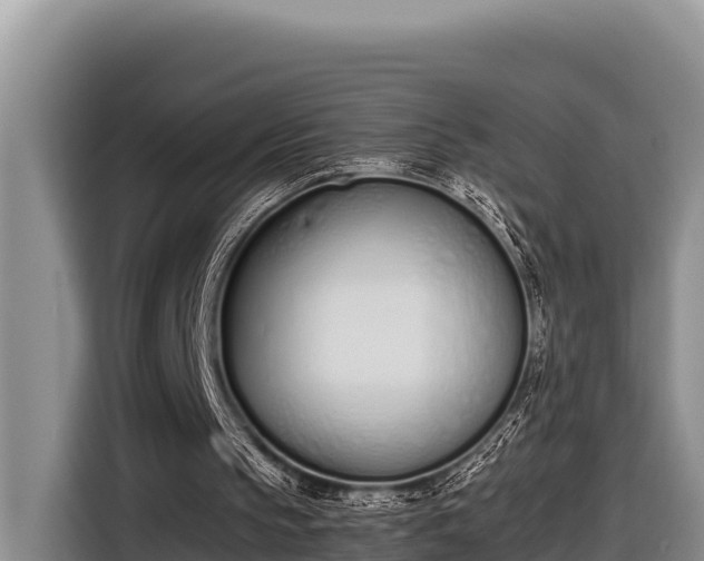 X0000116820145200912241247