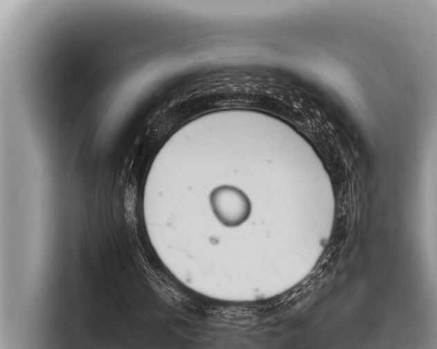 X0000116820146200912241247