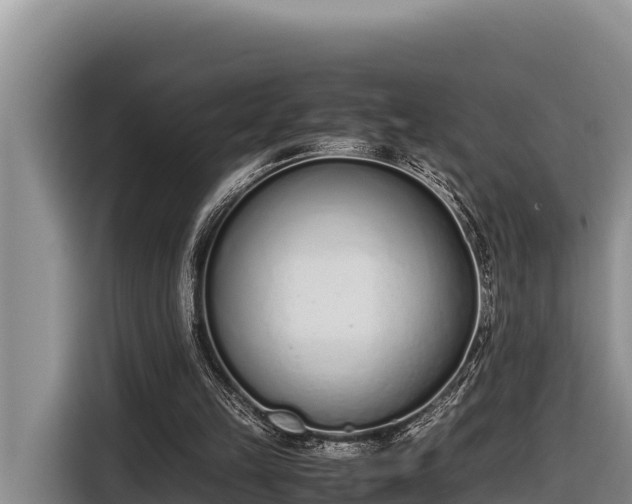 X0000116820149200912241247