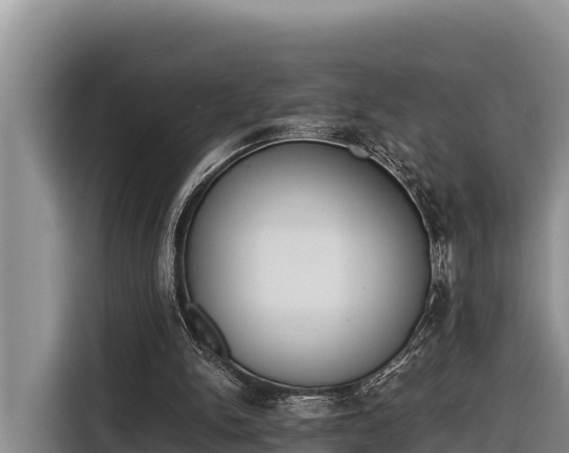 X0000116820150200912241247