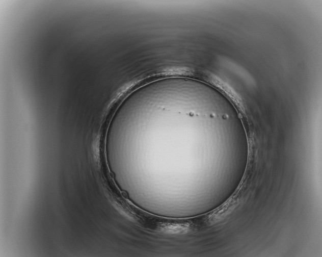 X0000116820155200912241247