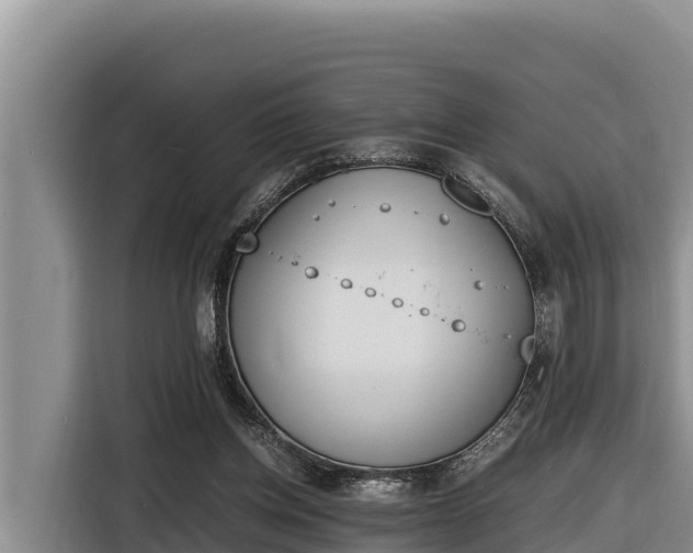 X0000116820158200912241248