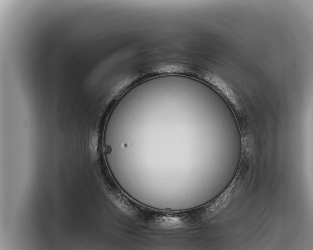 X0000116820159200912241248