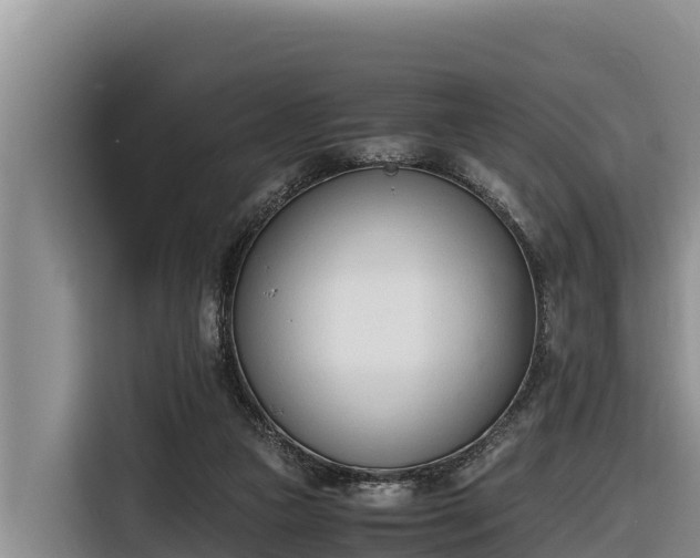 X0000116820161200912241248