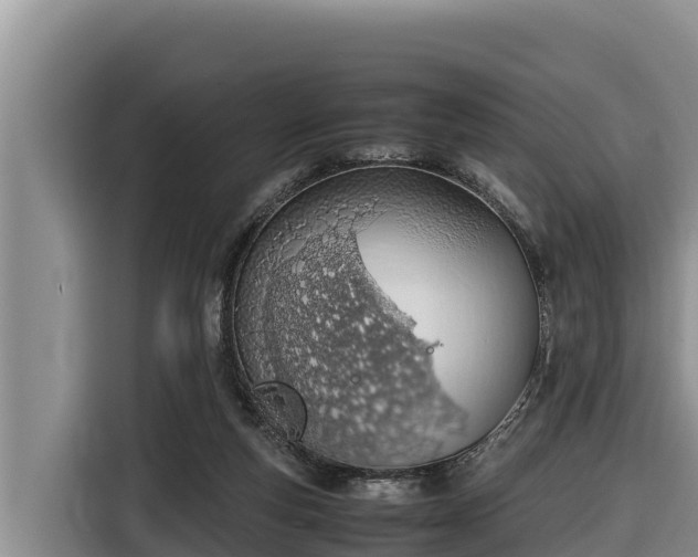 X0000116820163200912241248