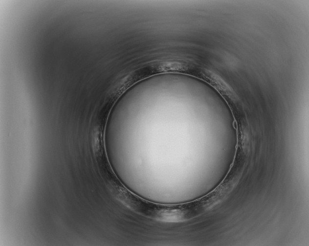 X0000116820169200912241248