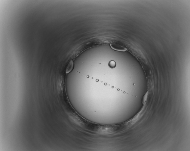 X0000116820174200912241248