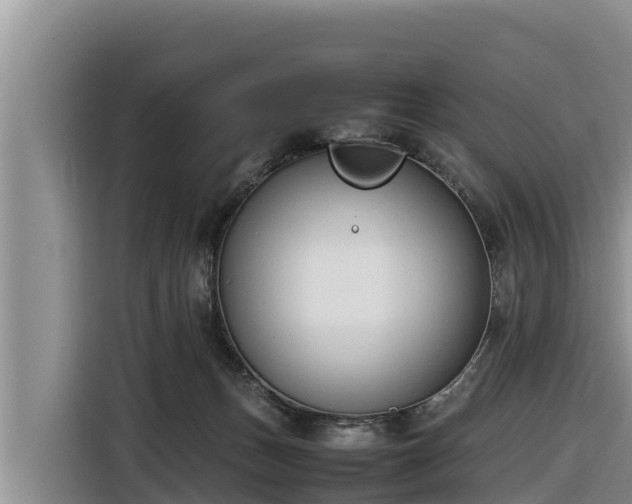 X0000116820175200912241248