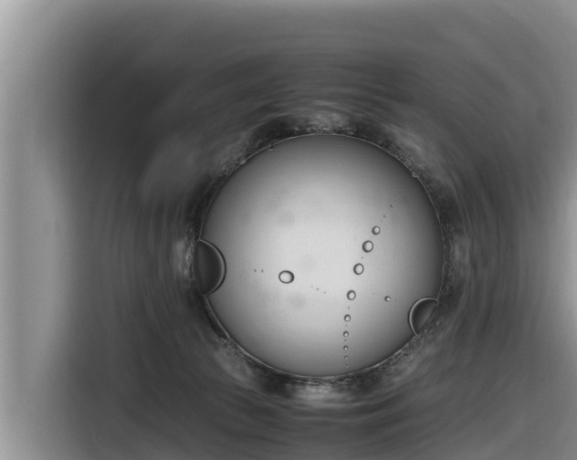 X0000116820177200912241248