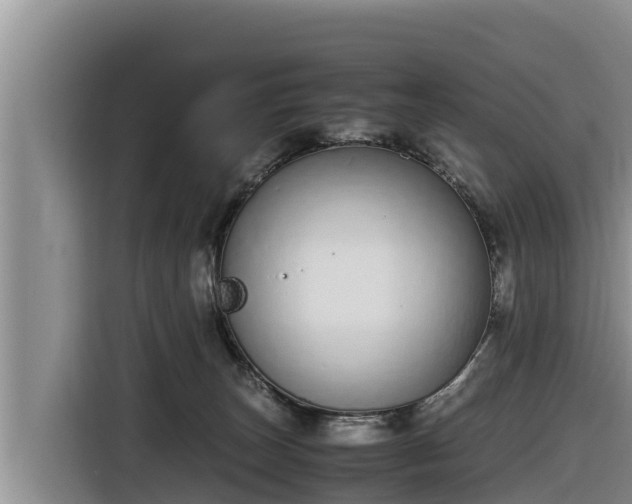 X0000116820179200912241248